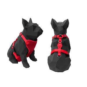 CONJ. PEITORAL E GUIA  CONFORT H M