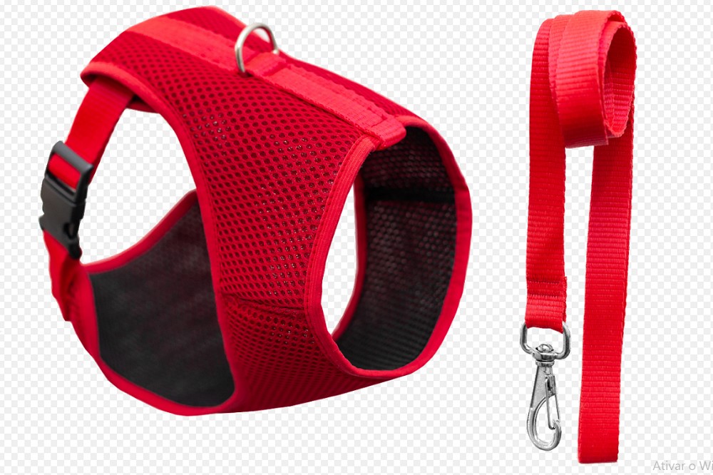 CONJ. PEITORAL E GUIA COLETE CONFORT P