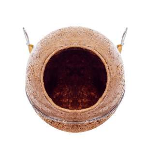 NINHO BAIANO S/ POLEIRO