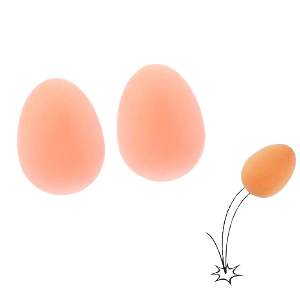 OVO MACICO EGG BALLS