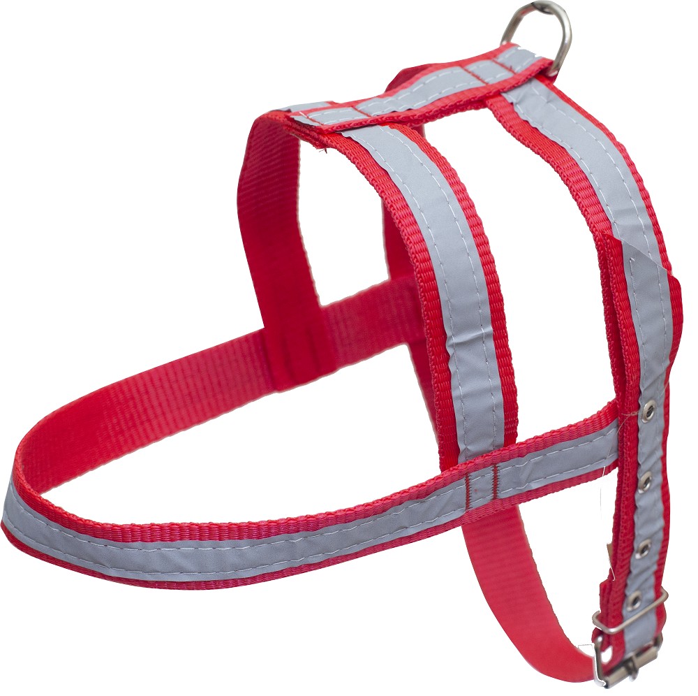 GUIA E PEITORAL REFLETIVO MEDIO PORTE M