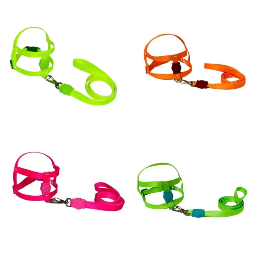 CONJ. PEITORAL E GUIA POP SEDA NEON G