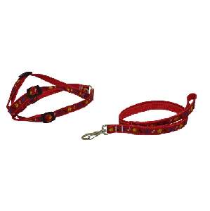 CONJ. PEIT E GUIA OSSO PATA AMERICA N3