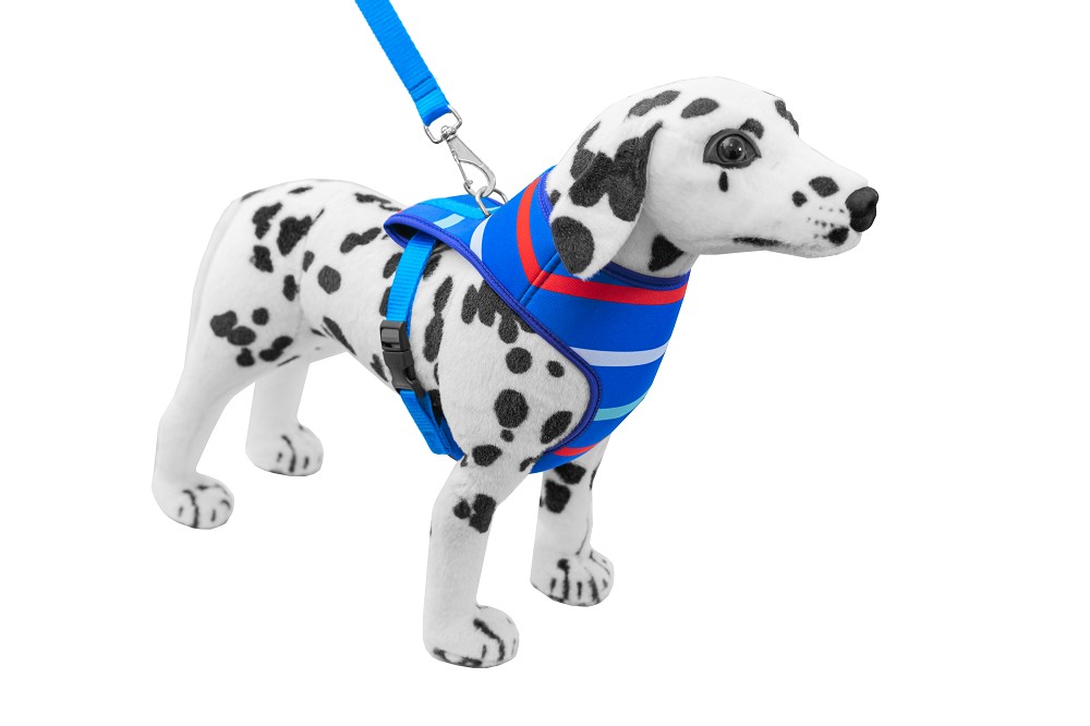 CONJ PEITORAL E GUIA NEOPRENE M