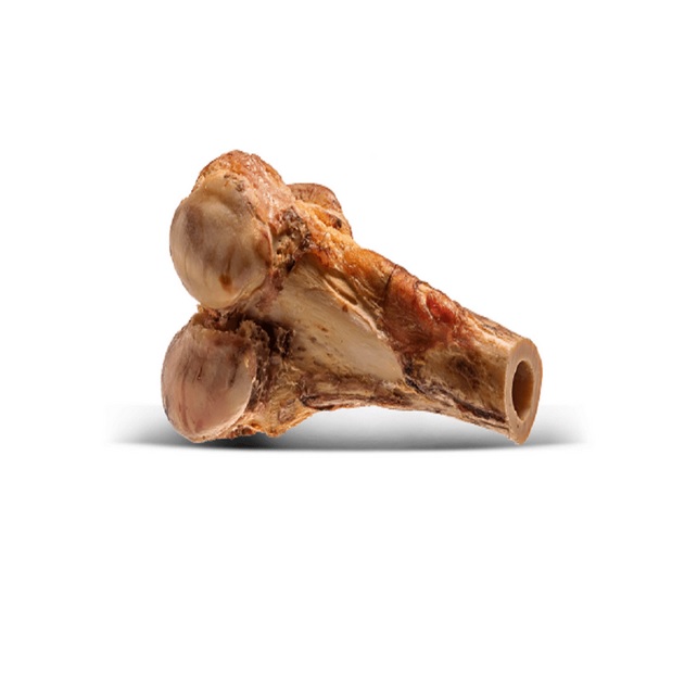 OSSO DEFUMADO 1/2 FEMUR