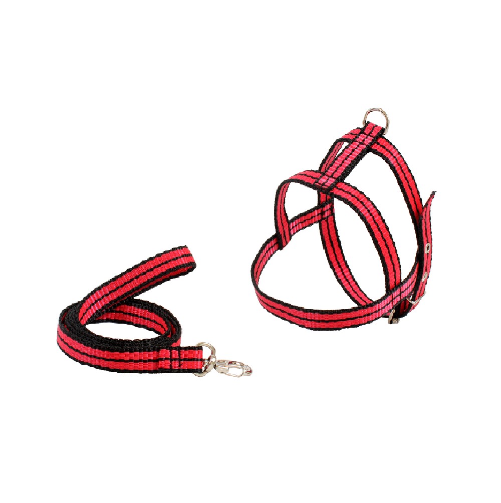 CONJ GUIA E PEIT CADARCO LISTRADO Nº02