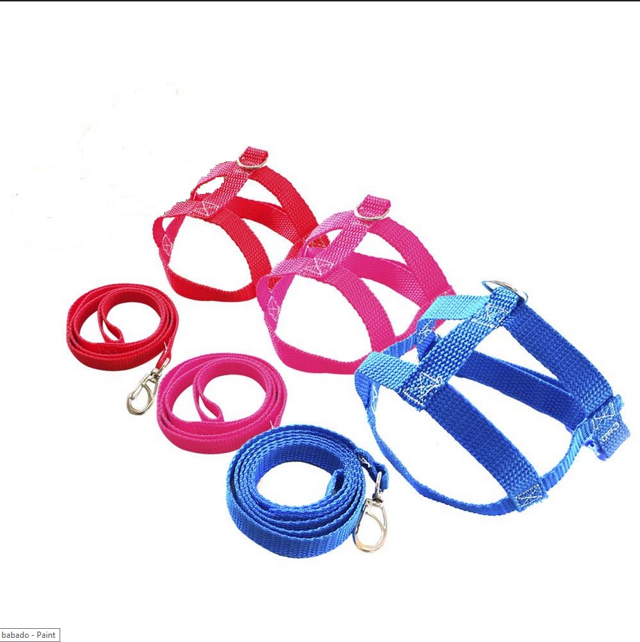 CONJ GUIA E PEIT NYLON N° 01