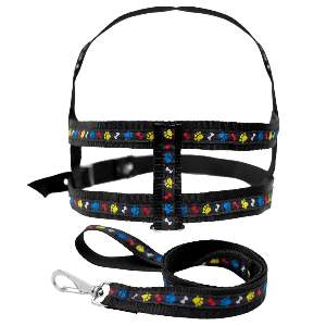 CONJ GUIA E PEIT OSSO PATINHA Nº07