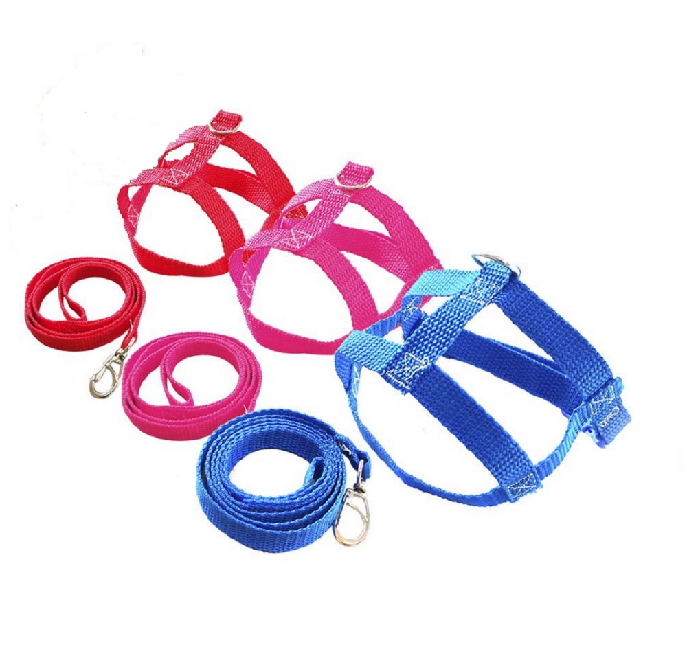 CONJ GUIA E PEIT NYLON N° 03