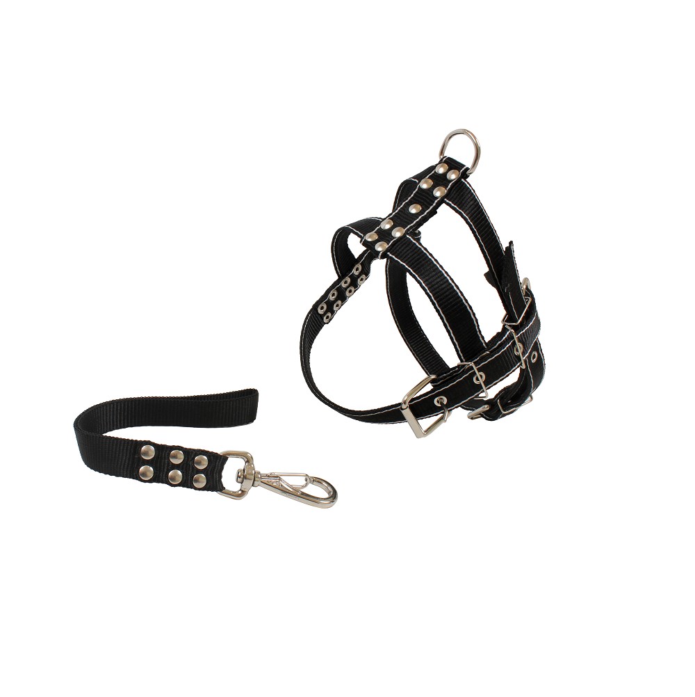 CONJ GUIA E PEIT GDE PORTE - GG