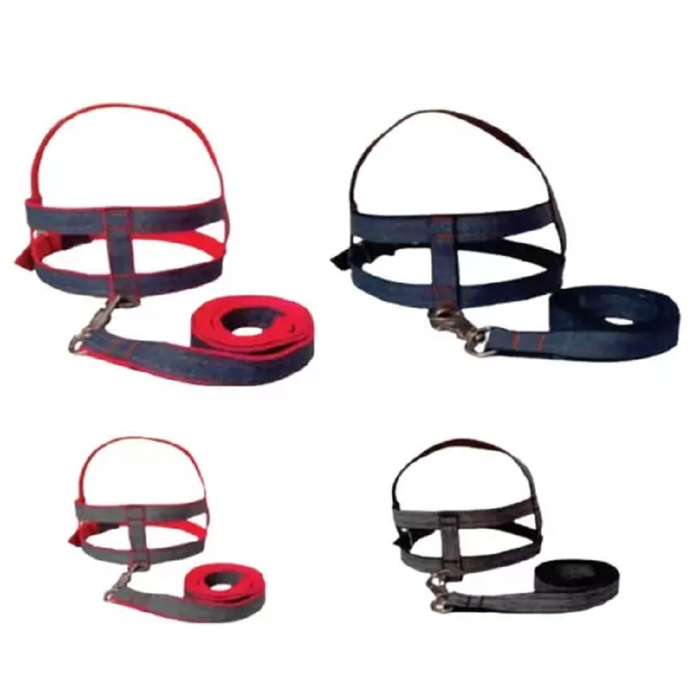 CONJ. PEITORAL E GUIA JEANS Nº1