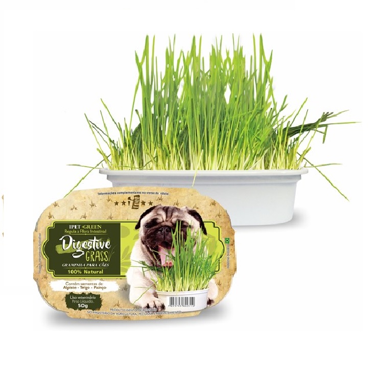 GRAMINHA DIGESTIVA PARA CAES 50G